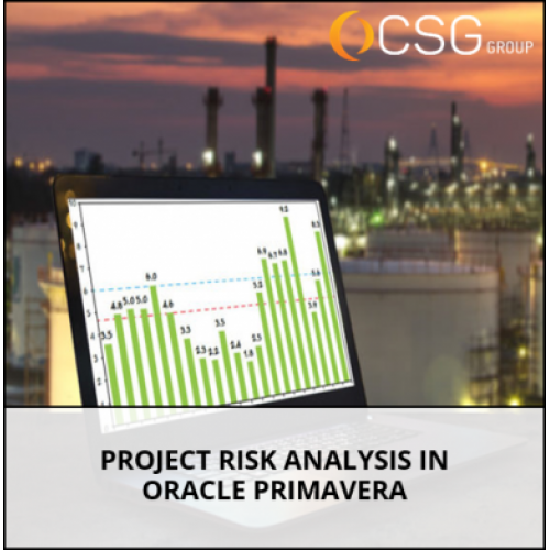 Project Risk Analysis in Oracle Primavera